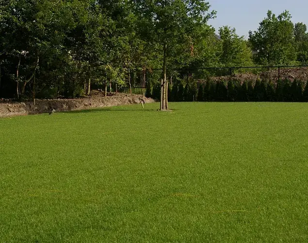 Pas gelegde graszoden in een tuin