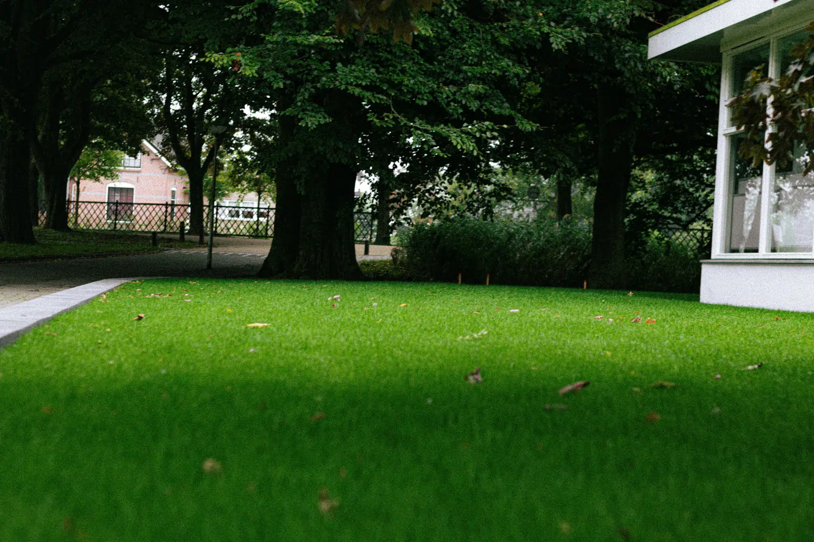 Dicht, egaal gazon onder de bomen van dichtbij