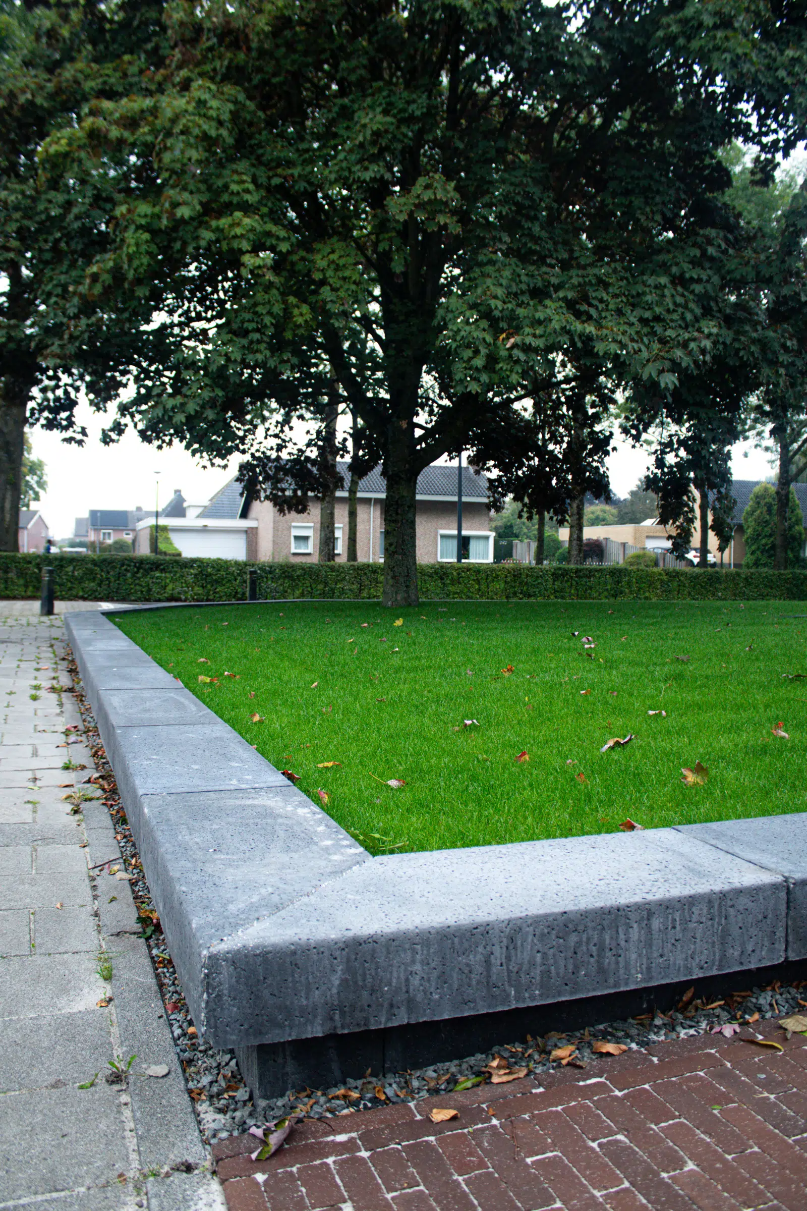 Strak gazon binnen een betonnen rand onder de bomen