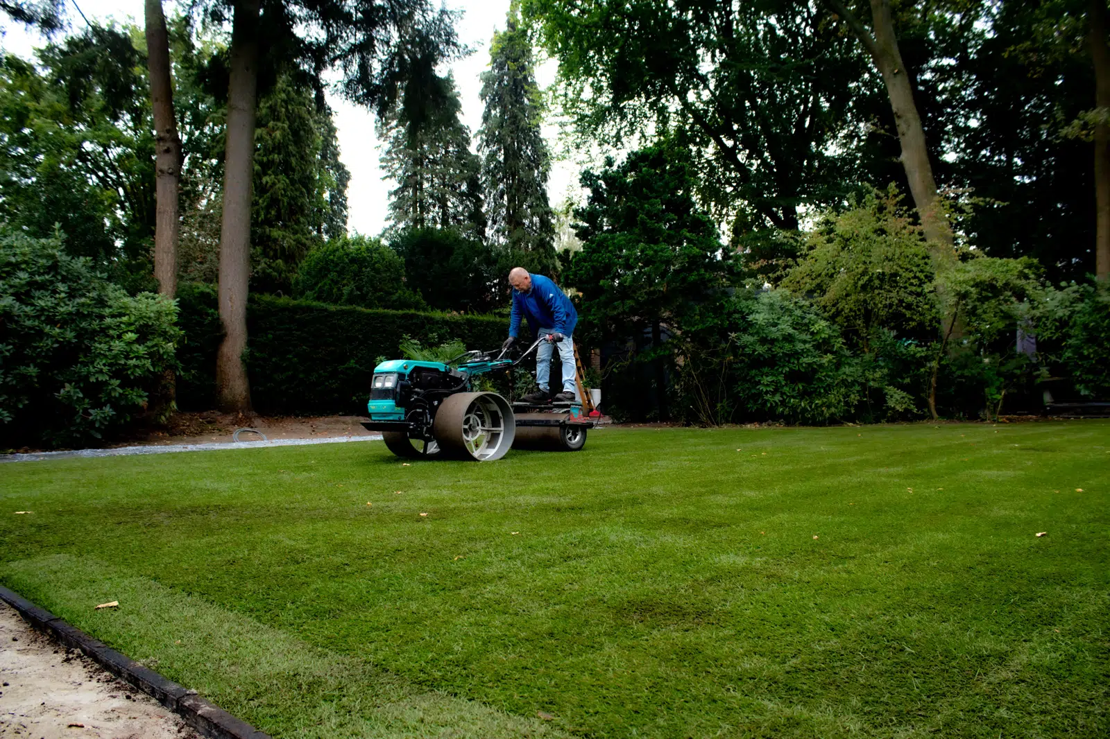 Walsen van een groot, pas gelegd gazon in een bosrijke tuin