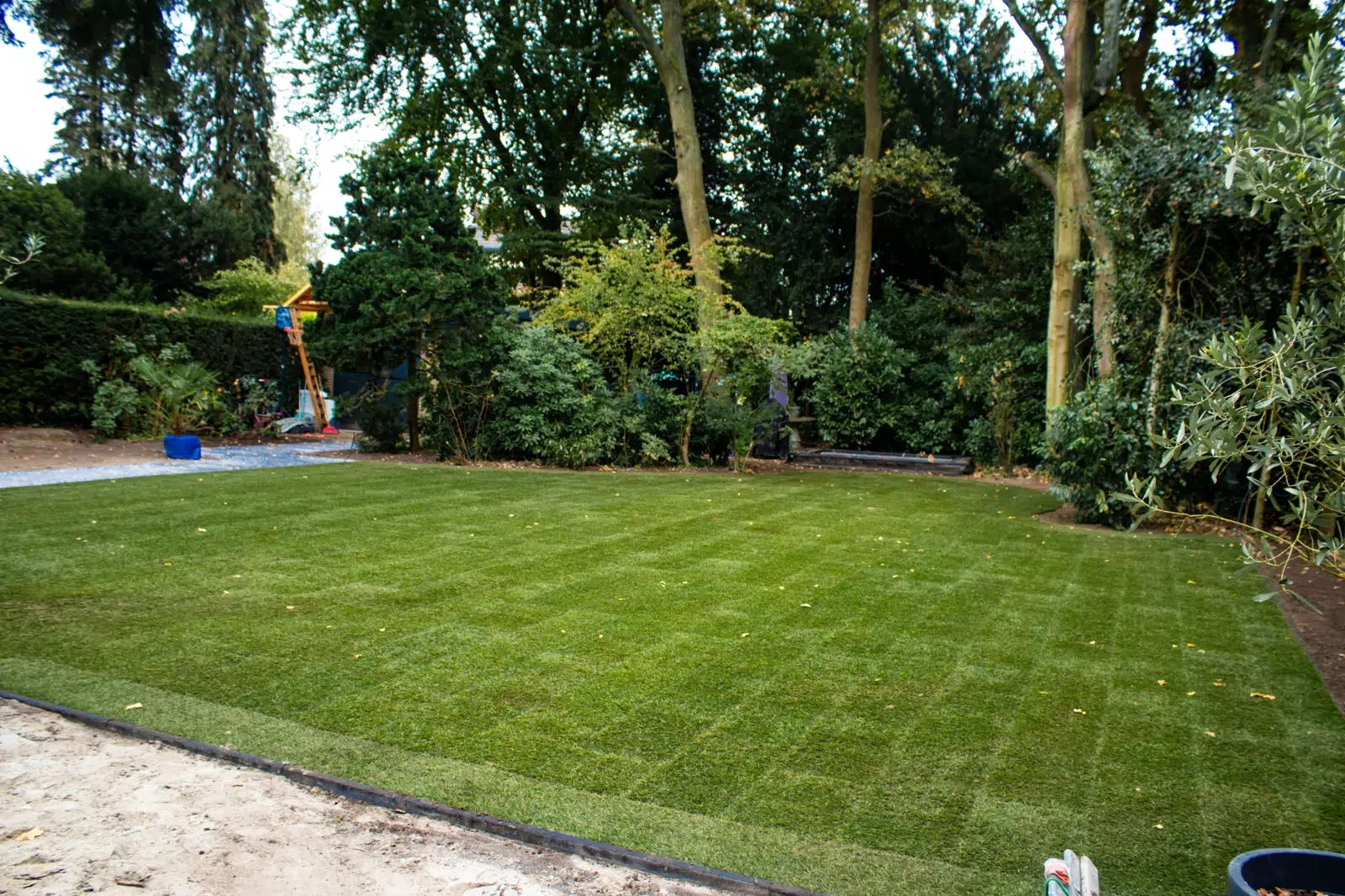 Pas gelegd gazon van graszoden in een bosrijke achtertuin